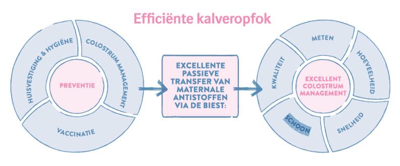 Efficiente kalveropfok