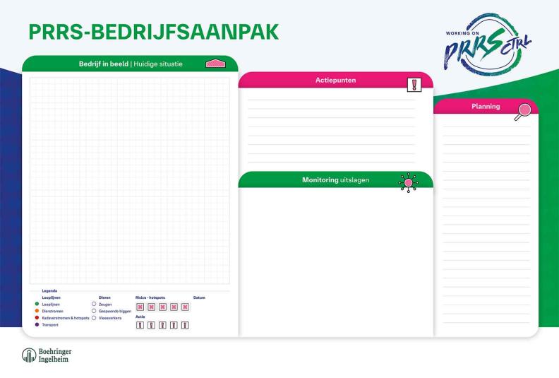 Swine PRRS-Aanpak_Whiteboard_588x888mm.jpg