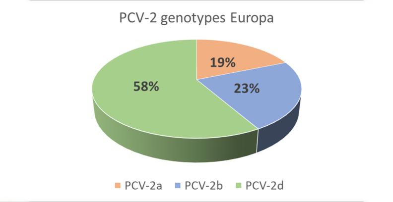 Swine PCV-2 genotypes in Europa 1554x800.jpg