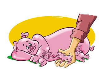 Swine Biest is essentieel voor biggen 672 x 526.jpg
