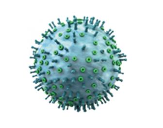 Swine Mutaties en recombinaties van virussen om rekening mee te houden | Deel 2:4 over PRRS 672x526.jpg