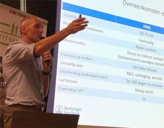 Swine Steenaert- 'Griep op varkensbedrijf is net een flipperkast' 672x526.jpg