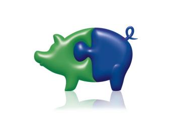 puzzle-pig-groen-blauw-500x450.jpg