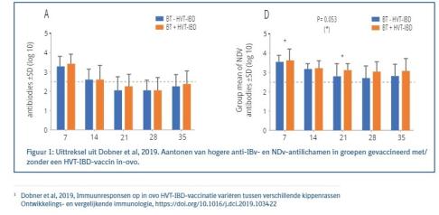 HVT-IBD- vaccin.jpg