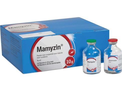 Mamyzin 10 x 10