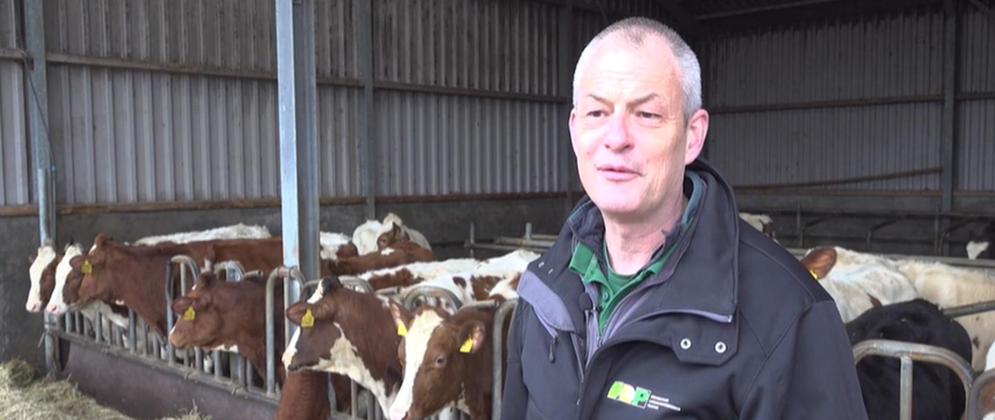 Mark van der Heijden, ULP