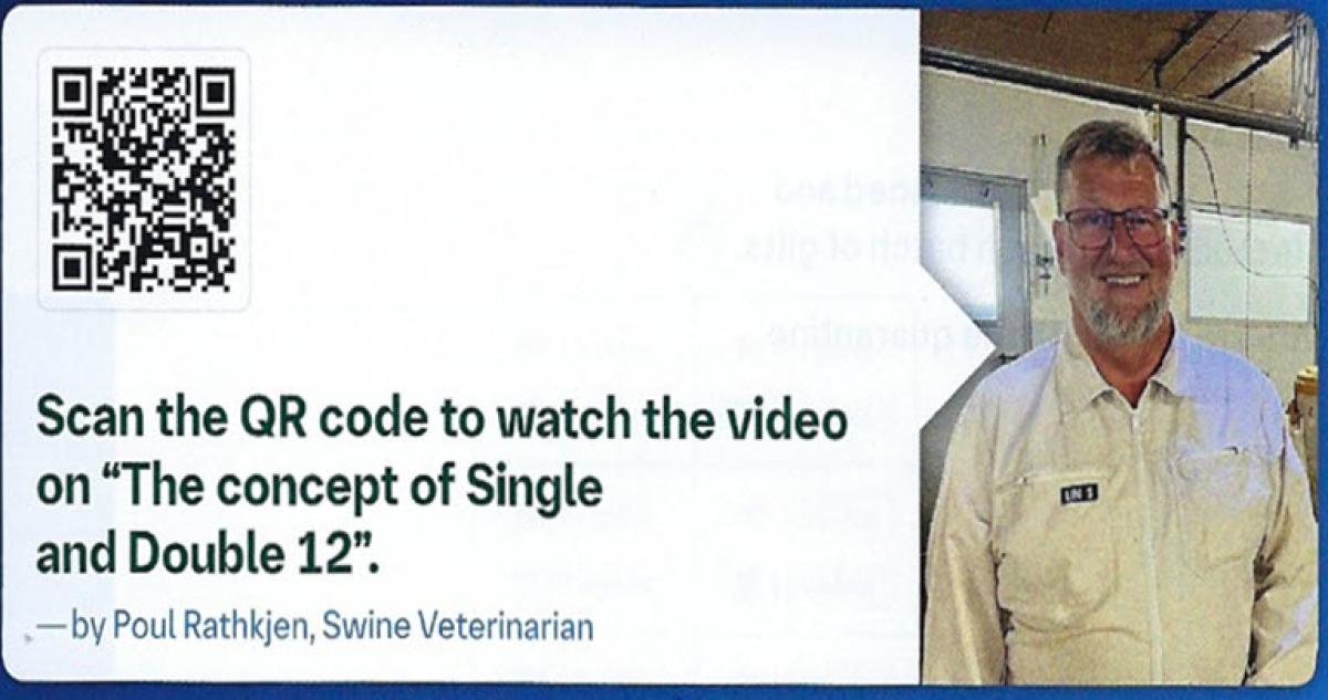 Video "The concept of Single and Double 12"