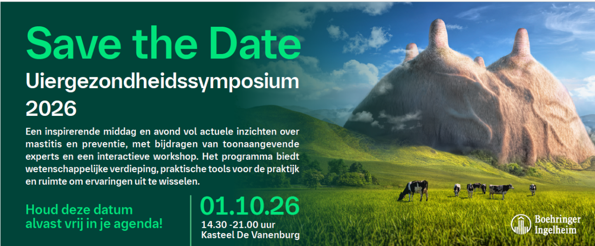 save the date lenzelta