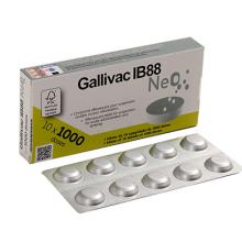 Gallivac ib88 Detoure