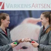 Swine Veiliger en zekerder mengen van twee vaccins 400 px.jpg