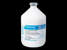 Gallimune