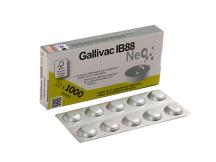 Gallivac ib88 Detoure